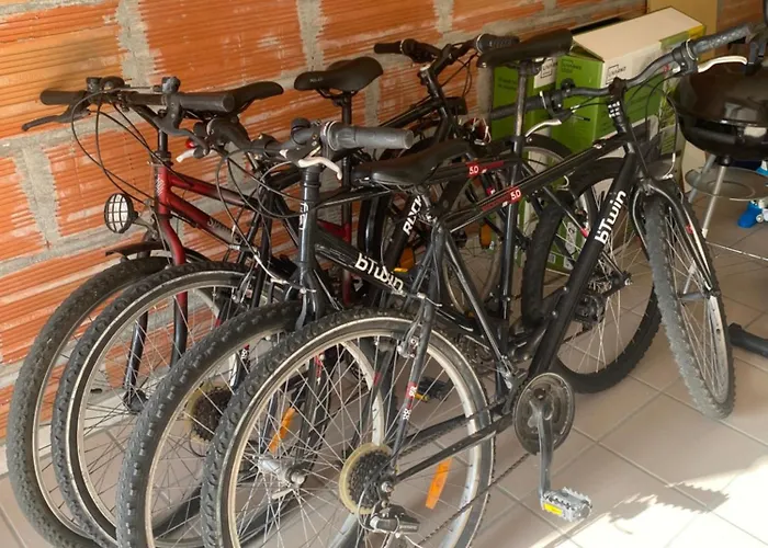 Feriehus Maison Au Calme Gujan-Mestras